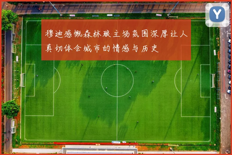 穆迪感慨森林狼主场氛围深厚让人真切体会城市的情感与历史