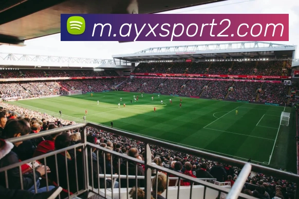 爱游戏体育APP 封面图